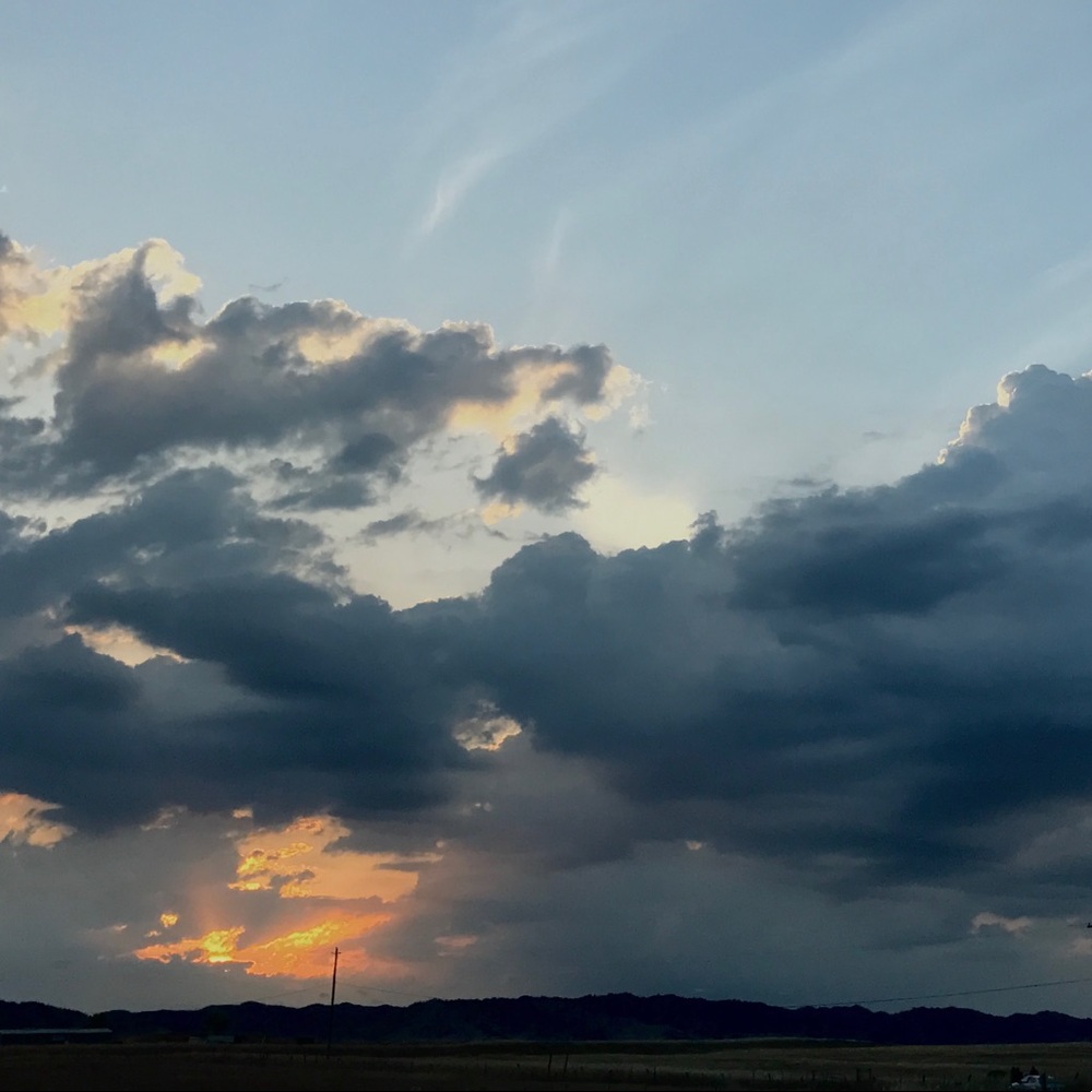 Meet your Posher, Noel